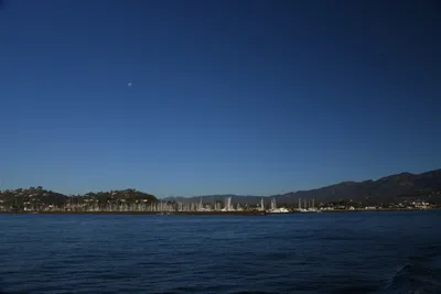 DSC_6574 (Large).JPG